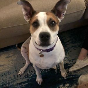 Meet your Posher, Kailee